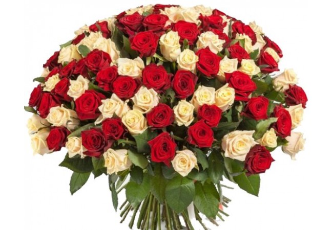 101 red white rose 650x450