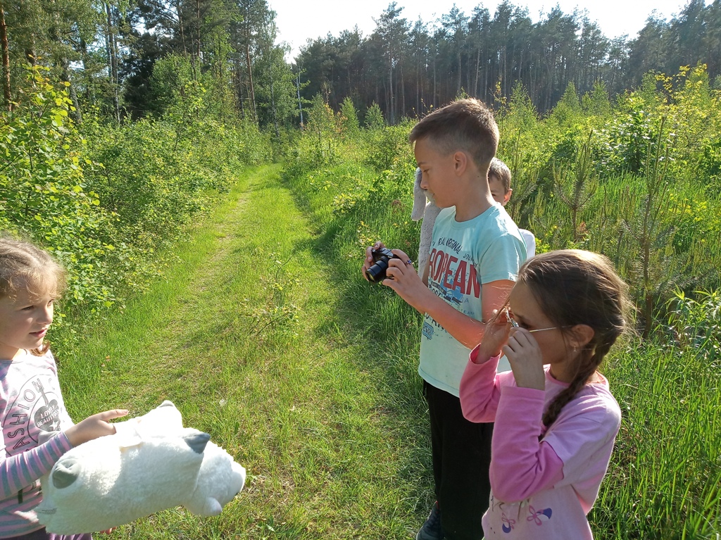 IMG 20190526 174742