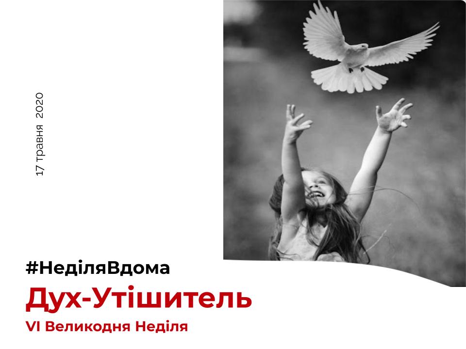VI nedilawdoma